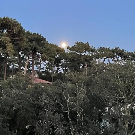 Tao Appartement Soorts-Hossegor Buitenkant foto